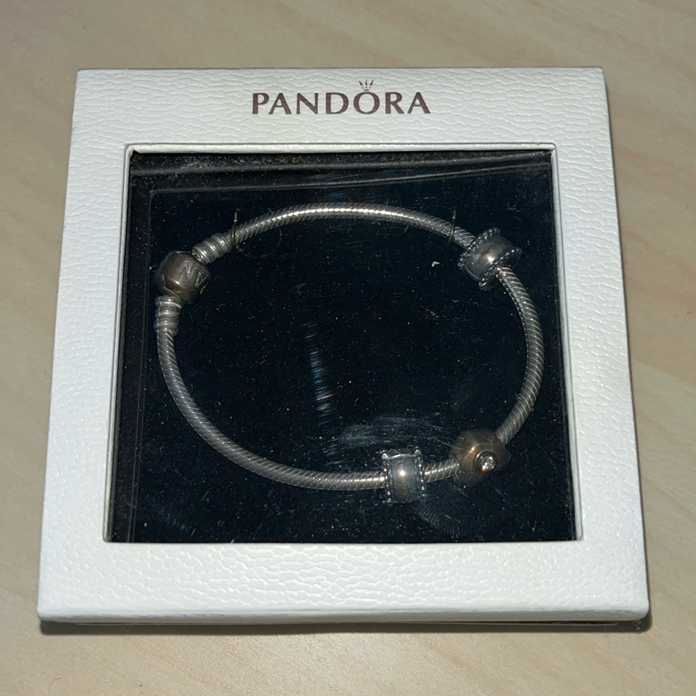Pandora Charm Bracelet
